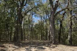 0 Klein Street photo 4