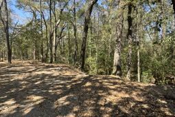 0 Klein Street photo 4