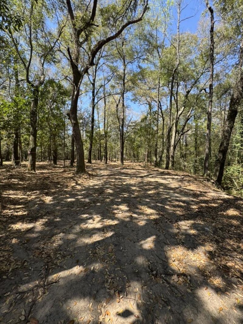 0 Klein Street Photo 4