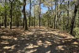 0 Klein Street photo 4