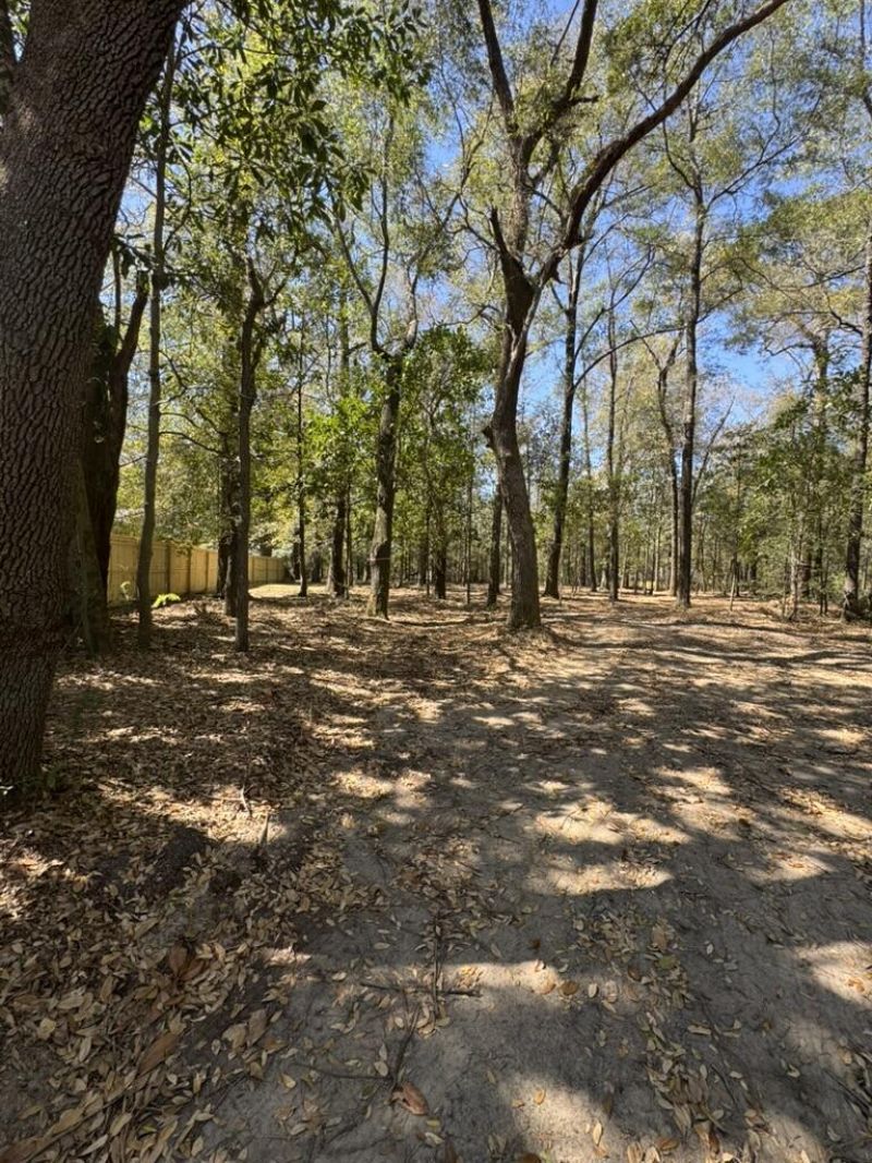 0 Klein Street Photo 5