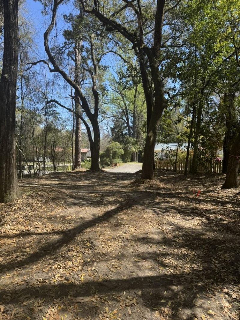 0 Klein Street Photo 8