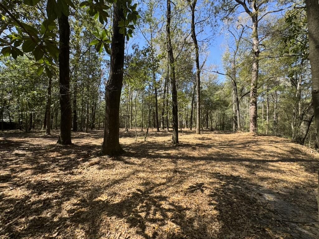 0 Klein Street Photo 9