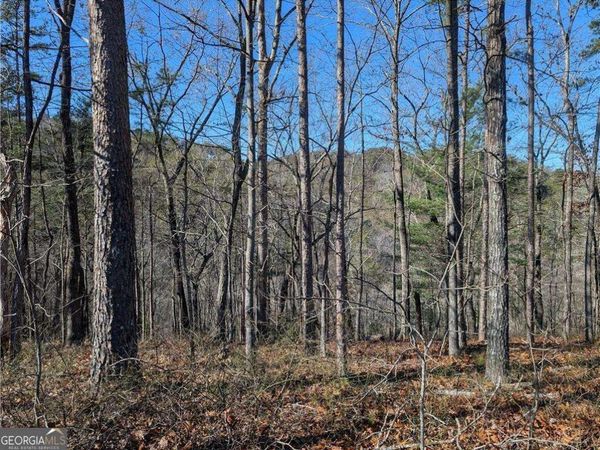 1400 Foxhound Trail NE, Ranger, GA 30734