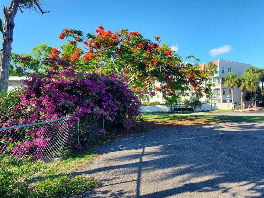 Property Image 59