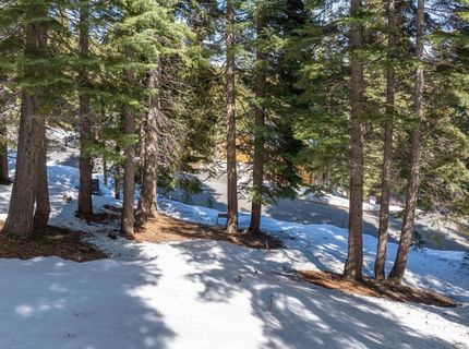 11554 Saint Bernard Drive, Truckee, CA 96161 Photo