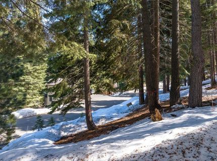 11554 Saint Bernard Drive, Truckee, CA 96161 Photo