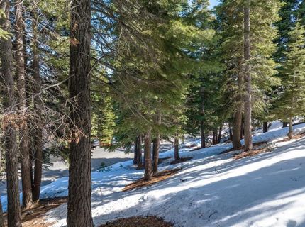 11554 Saint Bernard Drive, Truckee, CA 96161 Photo