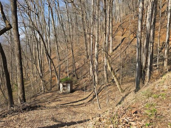 32 Black Mountain Road, Cullowhee, NC 28723