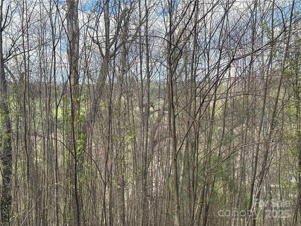 TBD E Landing Ridge, Jefferson, NC 28640