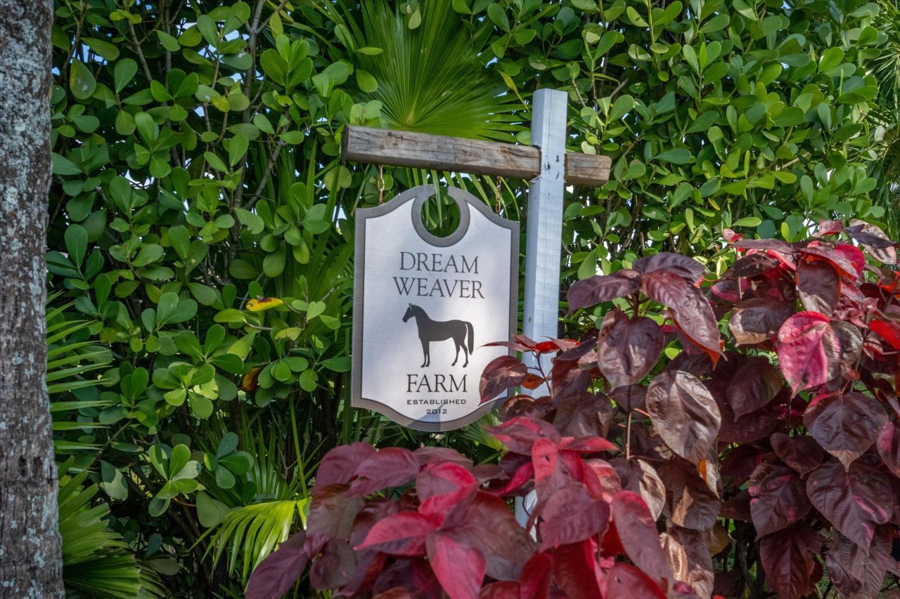 1666 C Road, Loxahatchee Groves, FL 33470 Photo