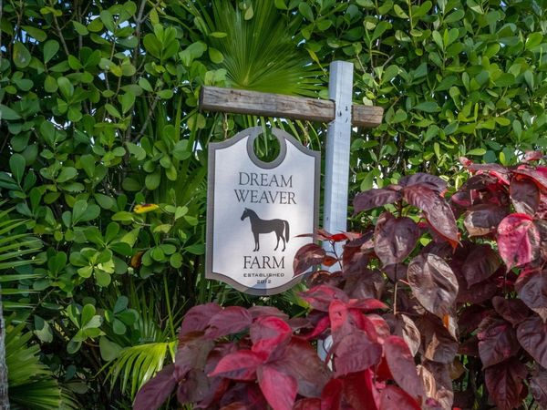 1666 C Road, Loxahatchee Groves, FL 33470