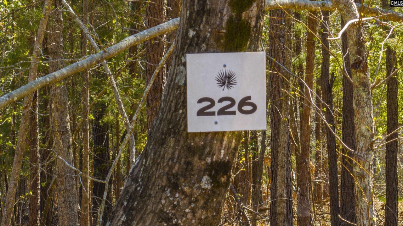 226 Granny Hill Road Photo 27