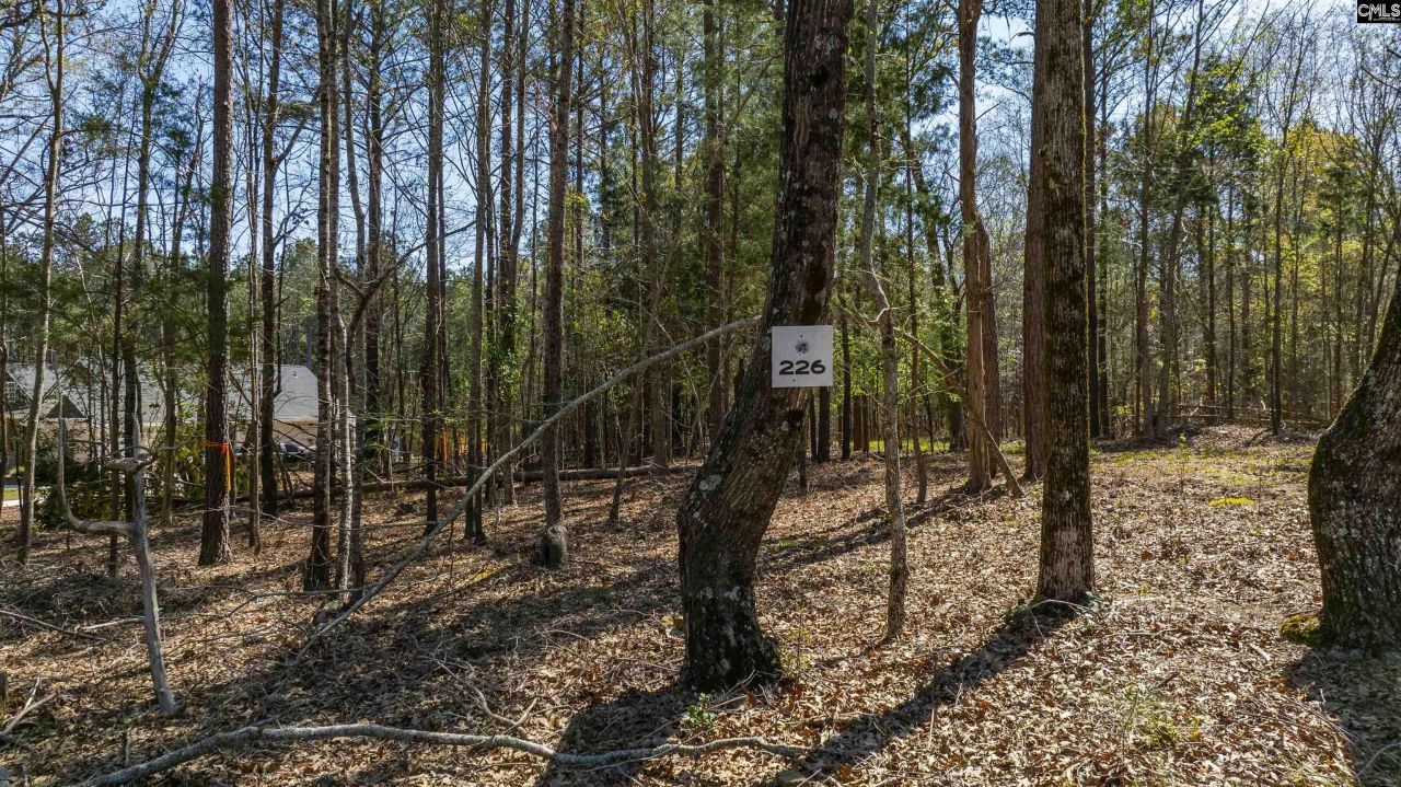 226 Granny Hill Road Photo 28