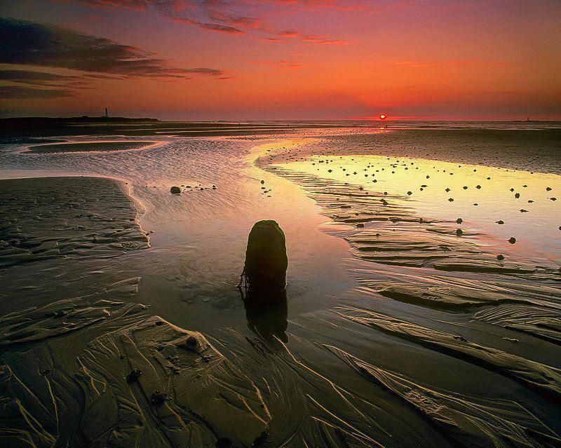 450 Egret Circle, Unit 9209, Delray Beach, FL 33444 Photo