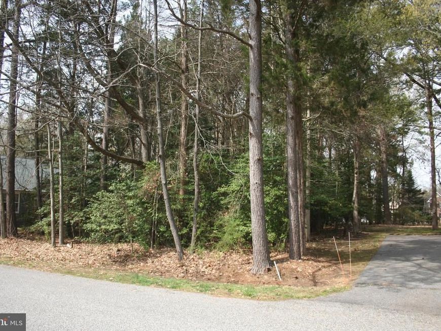14590 Honeysuckle Way, Issue, MD 20645 Main Photo