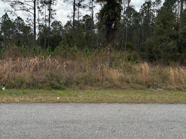 473 LIVE OAK Loop, Crescent City, FL 32112