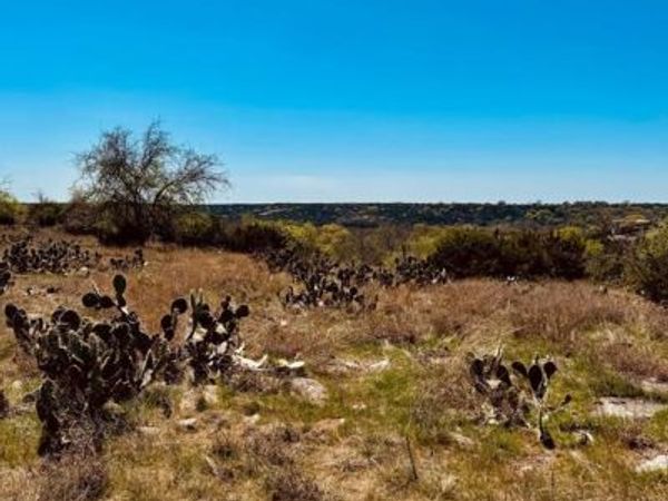 166 Yosemite Drive, Oglesby, TX 76561