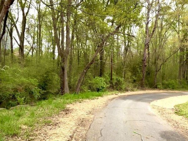 165/175/195 Sycamore Lane, Athens, GA 30605