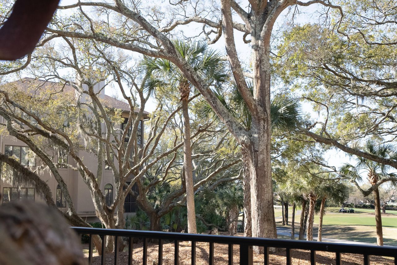 3005 Ocean Winds Drive Photo 34