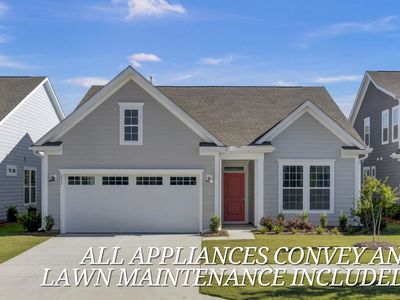 253 River Martin Court, Summerville, SC 29483