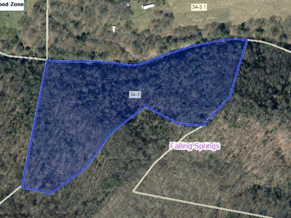 TBD Leonard Cordova Road, Renick, WV 24996