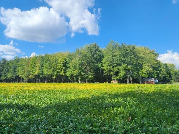 2089 St Rt 133, Tate Twp, OH 45106