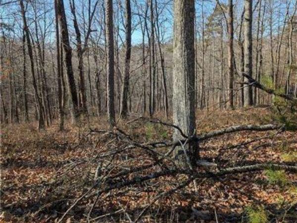 1422 Hanna Drive, Ranger, GA 30734