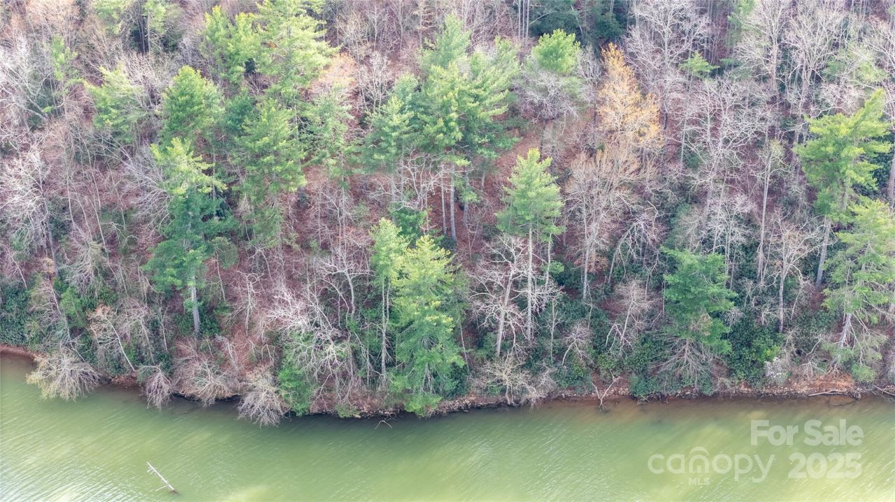 6355 Mcgalliard Pointe Drive Ne, Valdese, NC 28690 Main Photo