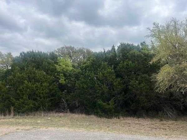 10019 Ridgeway Court, Whitney, TX 76692