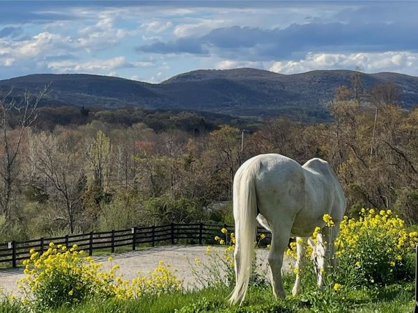 2680 Route 9, Cold Spring, NY 10516