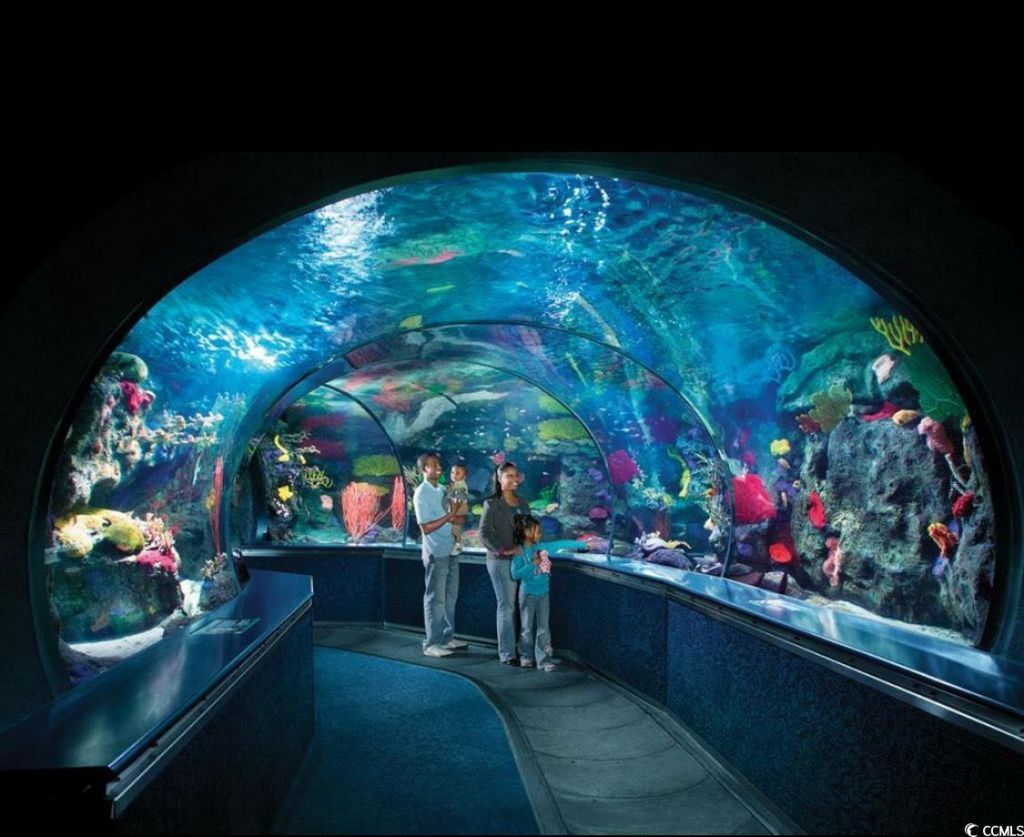 4603 Arran Ct. Photo 32