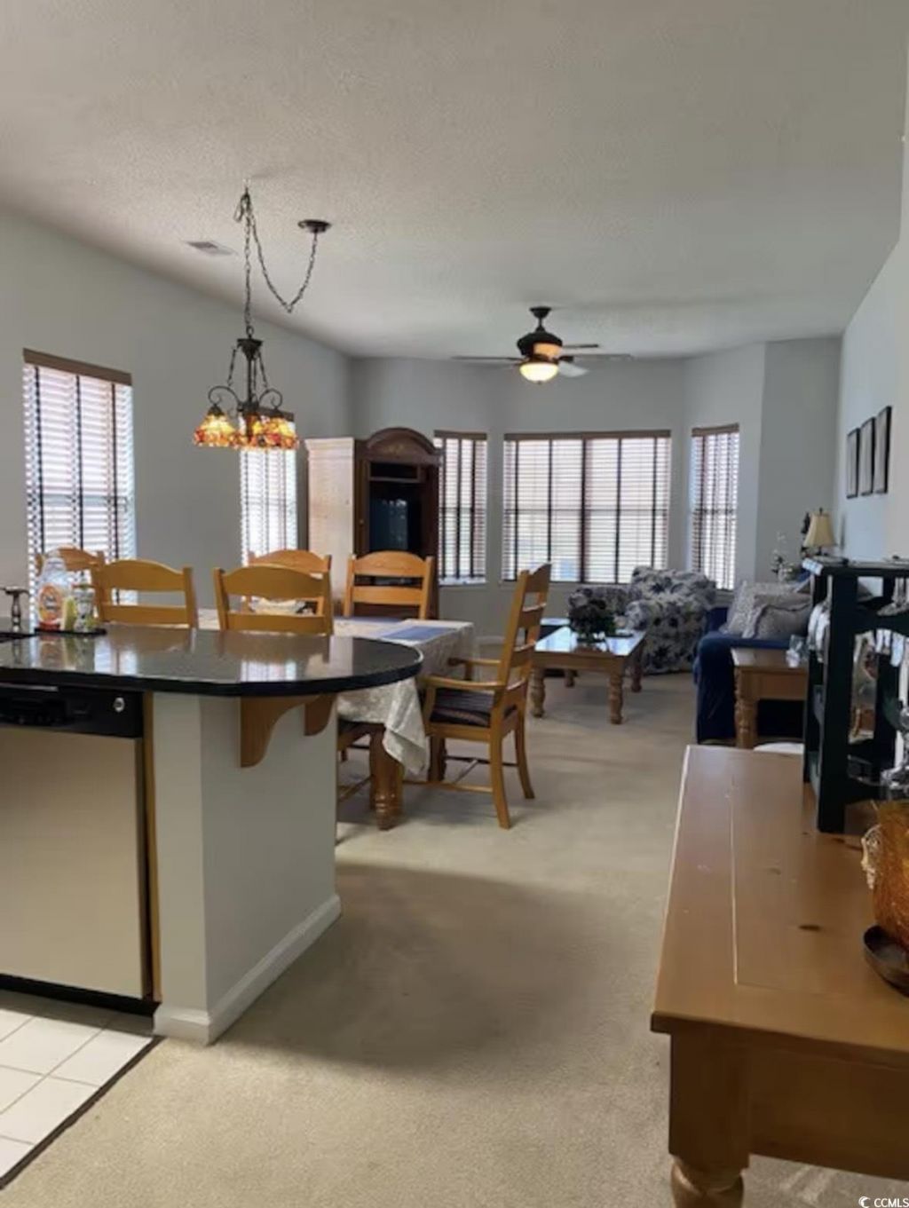 4603 Arran Ct. Photo 7