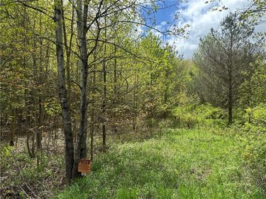 0 Pine Tree Road, New Berlin, NY 13411