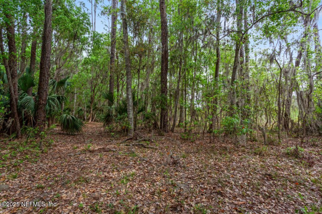1017 Old Gainesville Highway, Interlachen, FL 32148 Photo