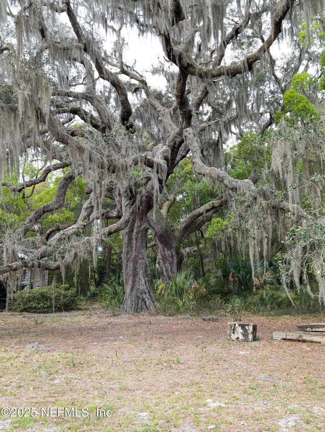 1017 Old Gainesville Highway, Interlachen, FL 32148 Photo