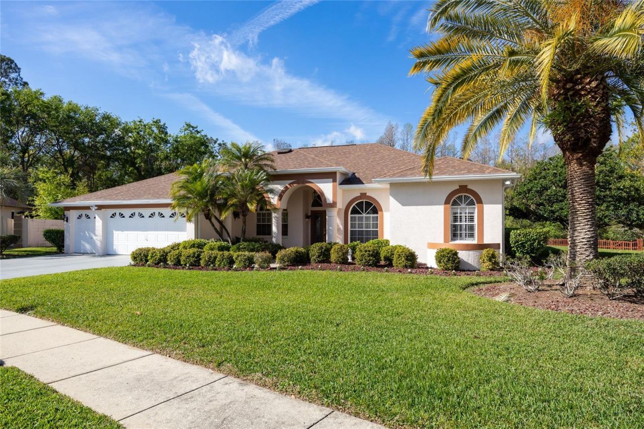 21312 Preservation Drive, Land O Lakes, FL 34638 Main Photo