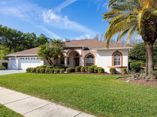 21312 PRESERVATION DRIVE, LAND O LAKES, FL 34638