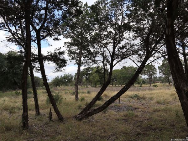 0 English, Pipe Creek, TX 78063