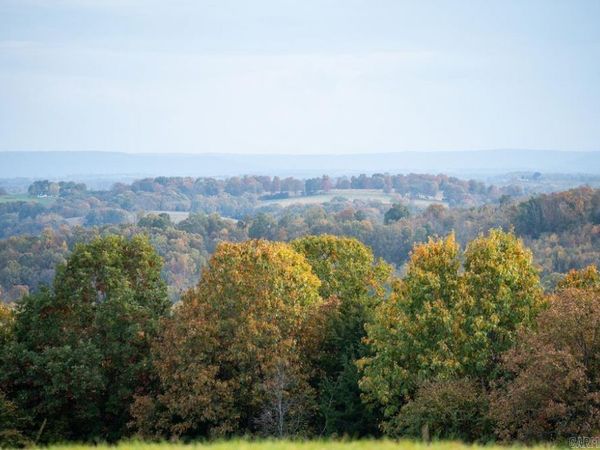 n/a CR 663, Oak Grove, AR 72660