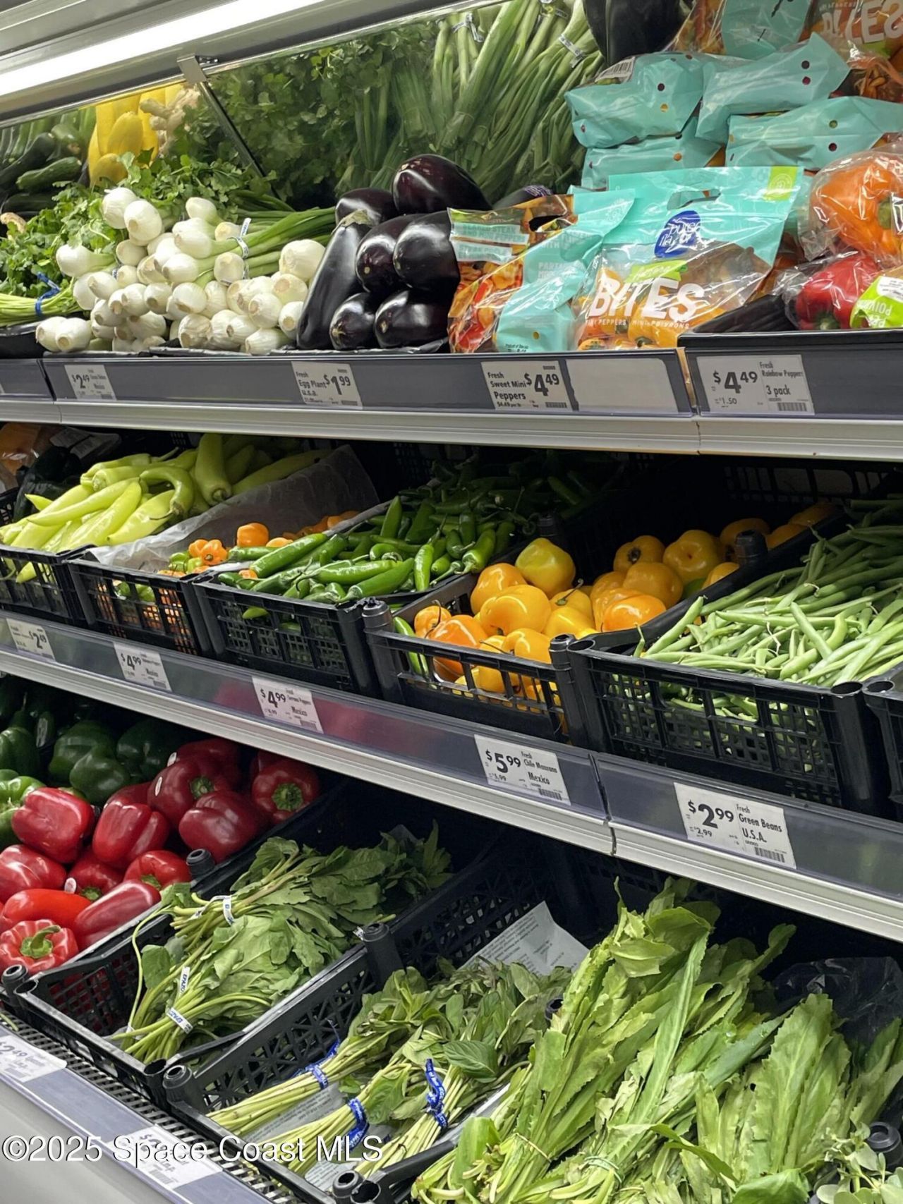 12859 SW State Rd 45, Archer, FL 32618 Photo