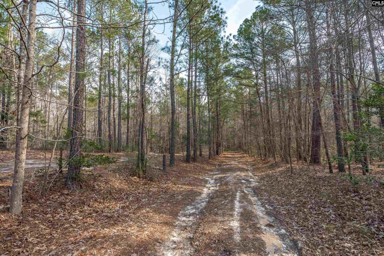 2070 Highway Church Road Photo 10