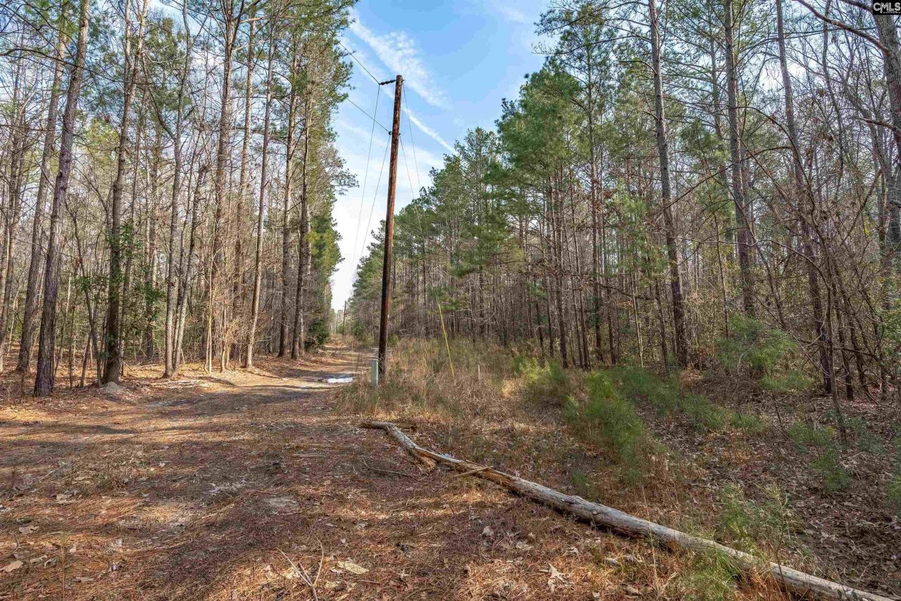 2070 Highway Church Road Photo 11