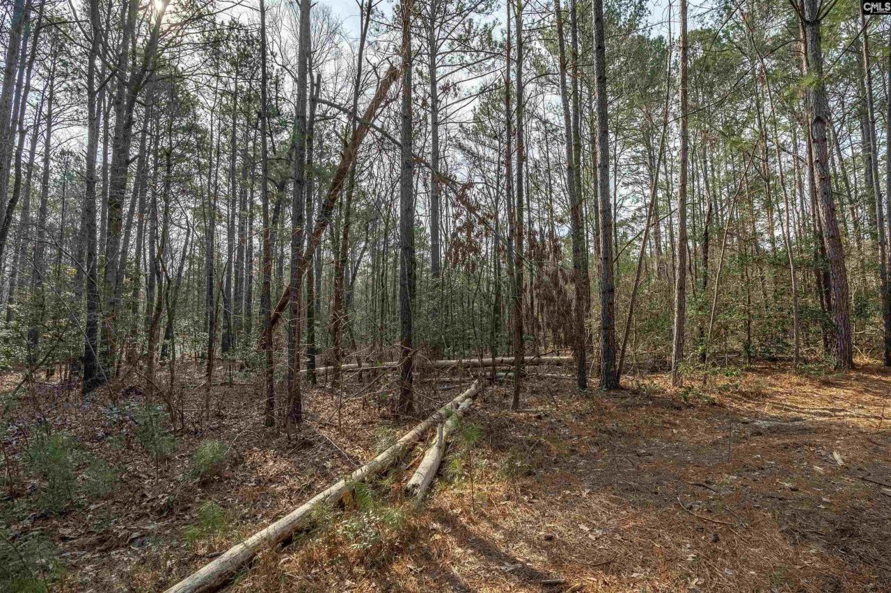 2070 Highway Church Road Photo 13