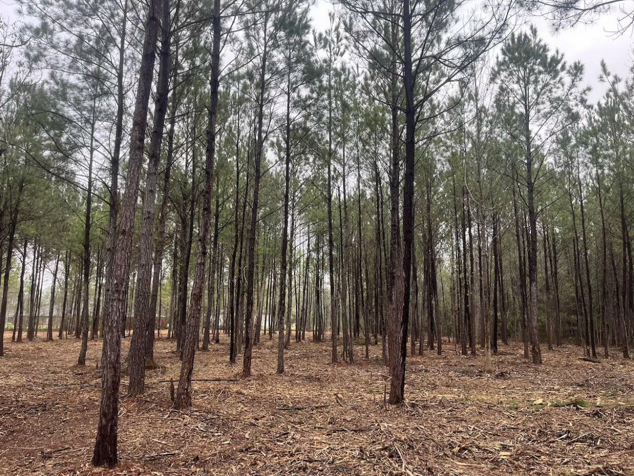 0 Praxis Court Photo 1