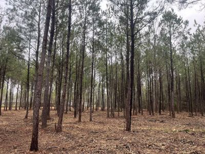 0 Praxis Court, Cottageville, SC 29435