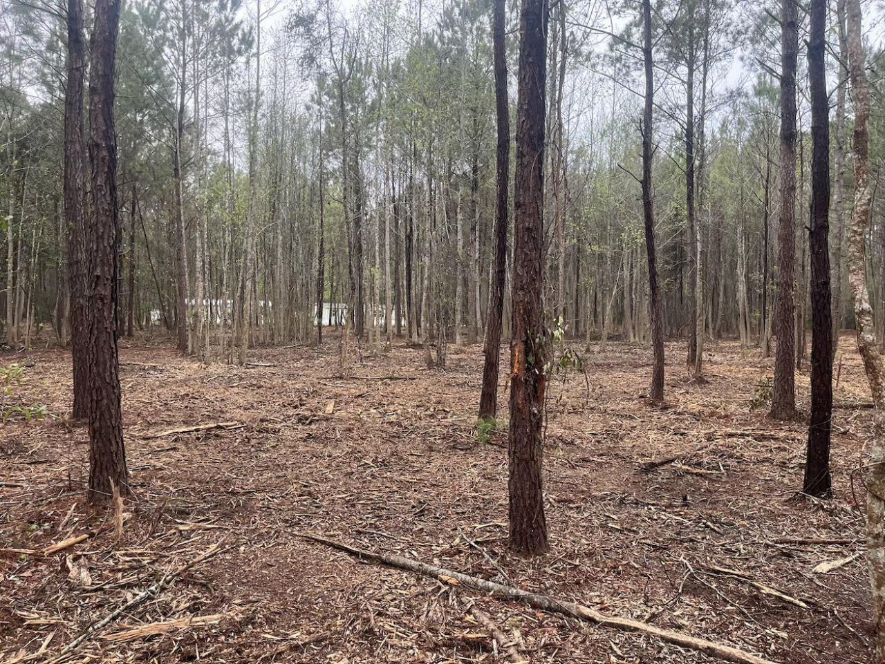 0 Praxis Court Photo 2