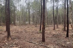 0 Praxis Court photo 4