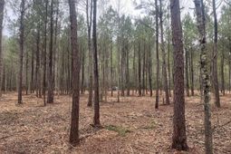 0 Praxis Court photo 4