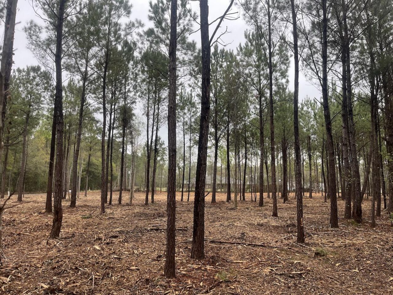 0 Praxis Court Photo 4